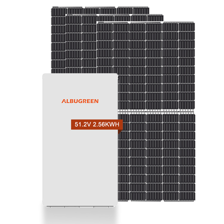 Paquete de baterías LiFePO4 de 48 V para almacenamiento solar doméstico